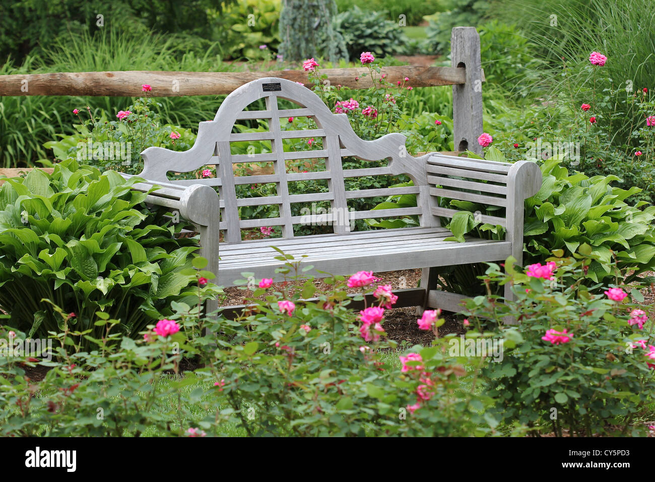 A bench amidst roses at Stanley Park, Westfield, Massachusetts Stock Photo