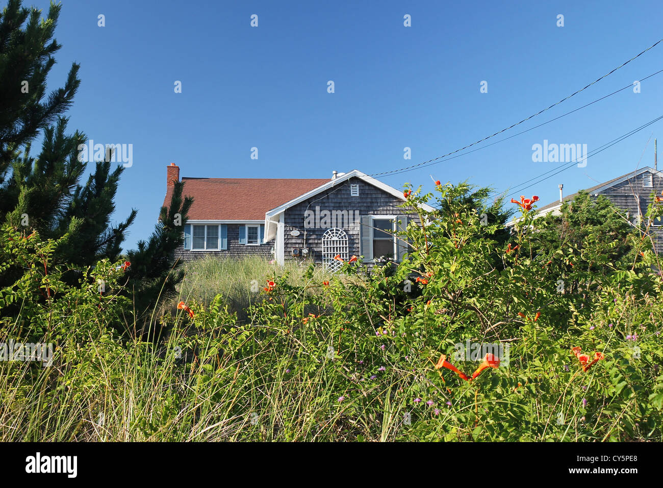 A home framed by beach grass and flowers, in the town of East Sandwich, Cape Cod, Massachusetts Stock Photo