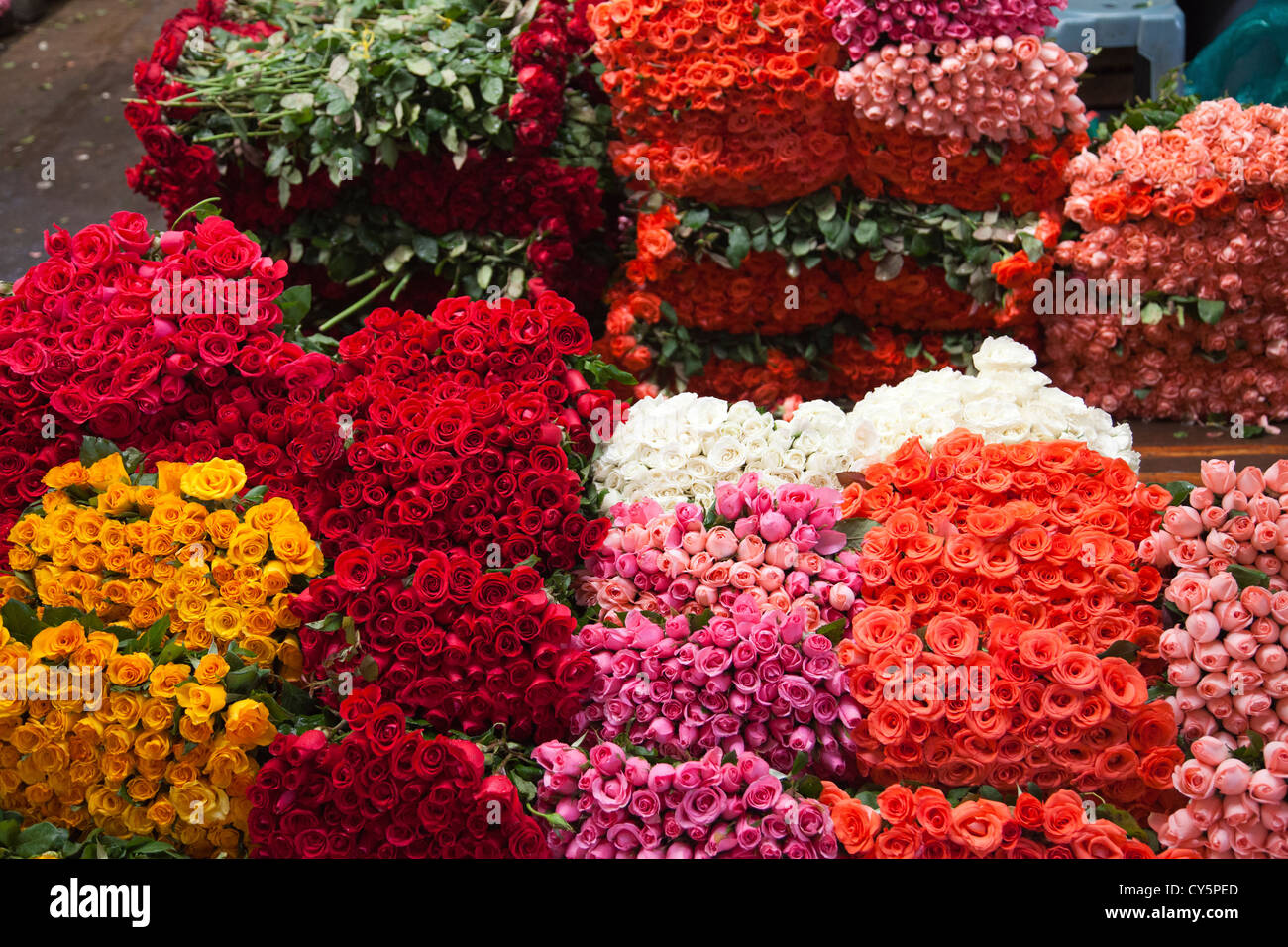 Roses at Jamaica Market in Colonia Jamaica in Venustiano Carranza