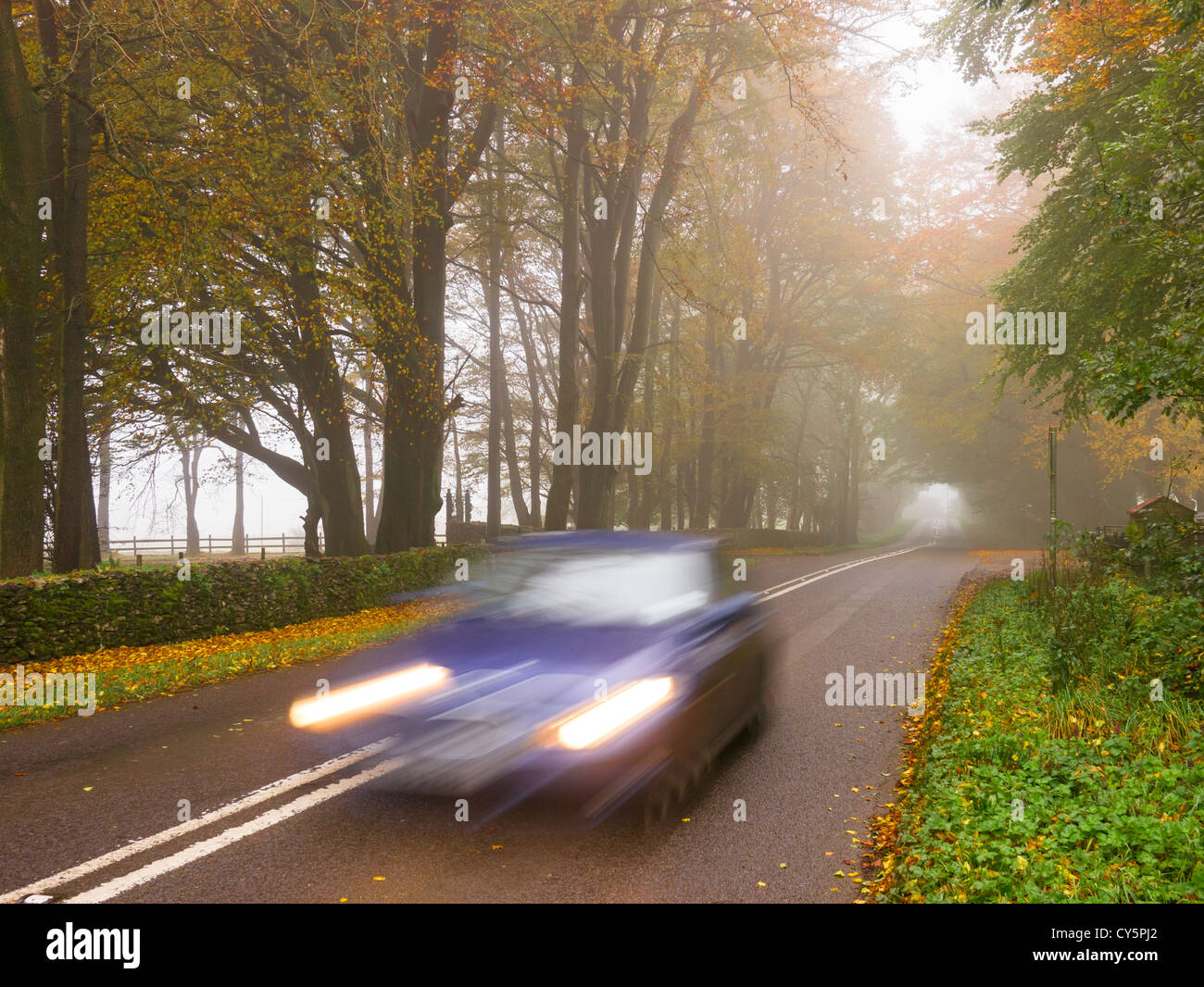 A car travelling along a foggy country road Stock Photo - Alamy