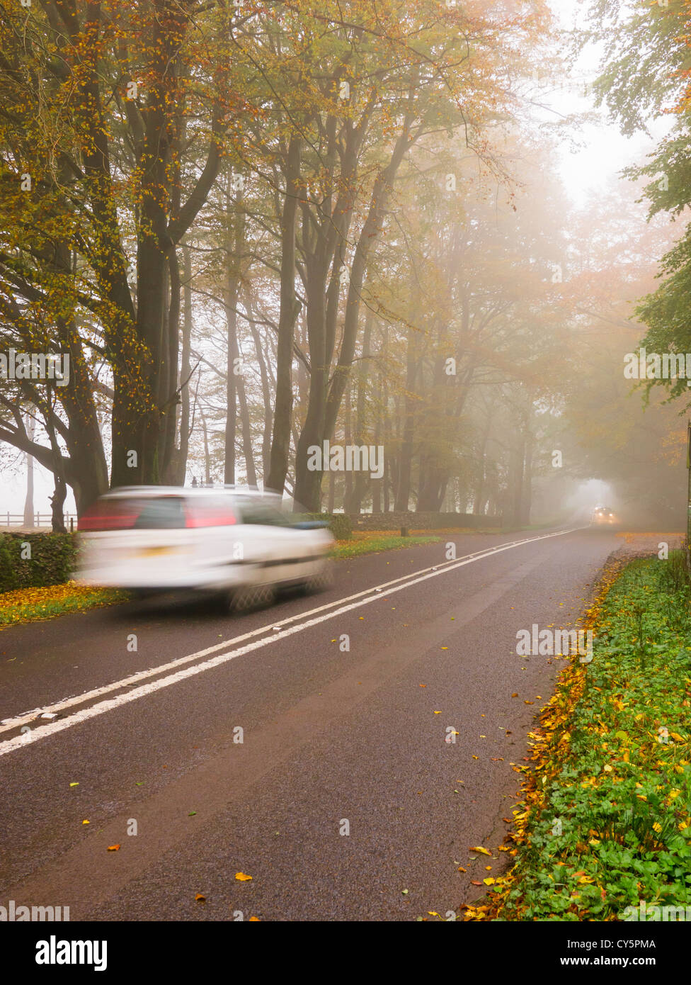 A car travelling along a foggy country road Stock Photo - Alamy