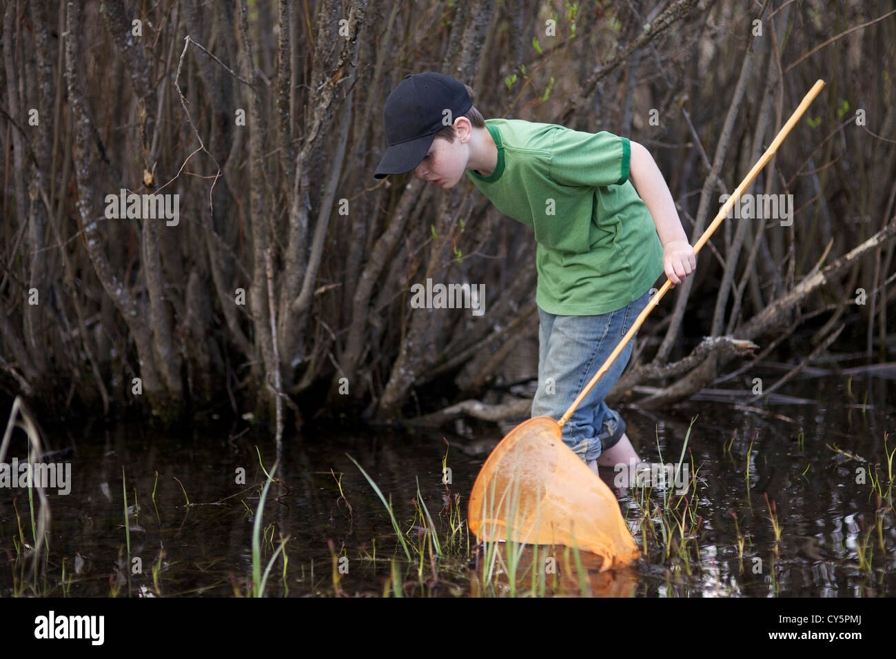 Young boy having fun catching frogs with frog net in the summer time Stock  Photo - Alamy