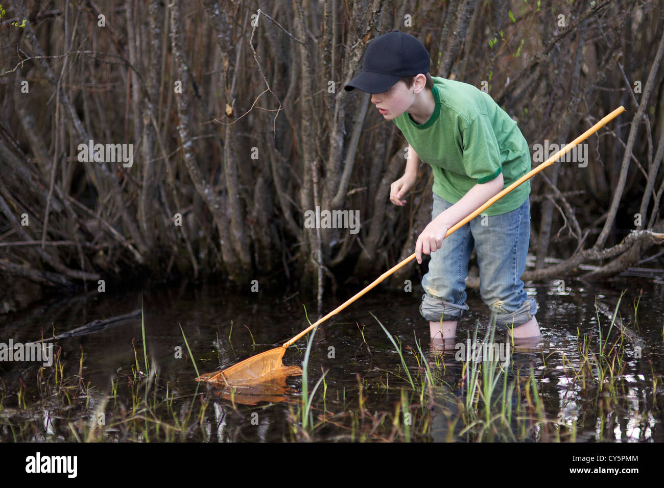 Young boy having fun catching frogs with frog net in the summer time Stock Photo