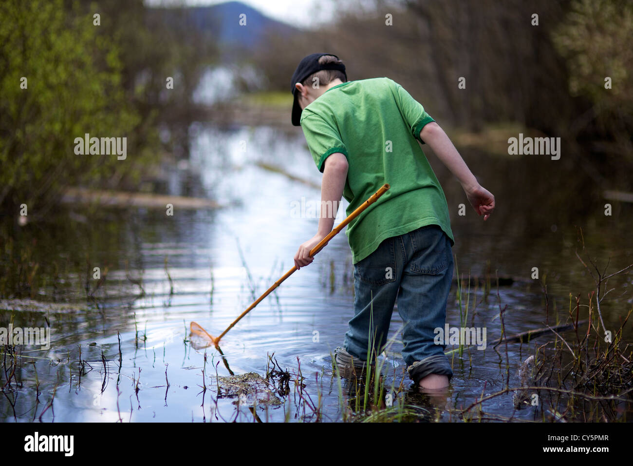 Young boy having fun catching frogs with frog net in the summer