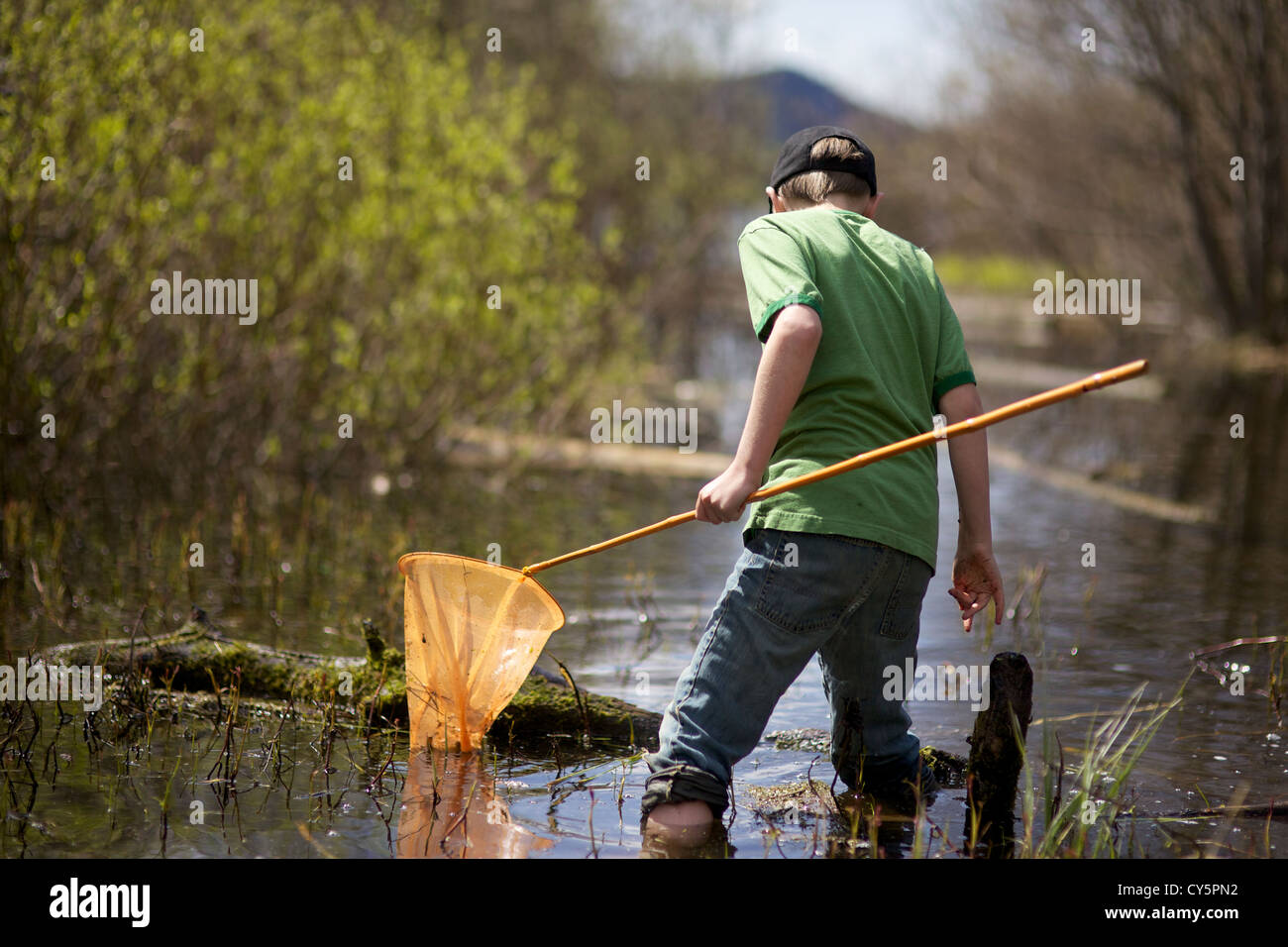 Young boy having fun catching frogs with frog net in the summer time Stock  Photo - Alamy