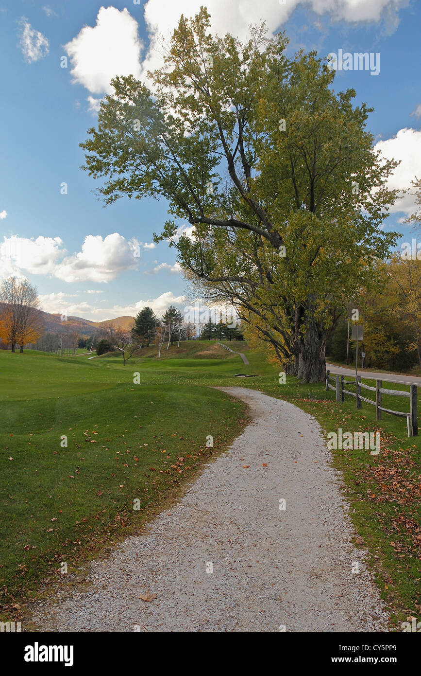 A path through Dorset Field Club golf course, the oldest continuously