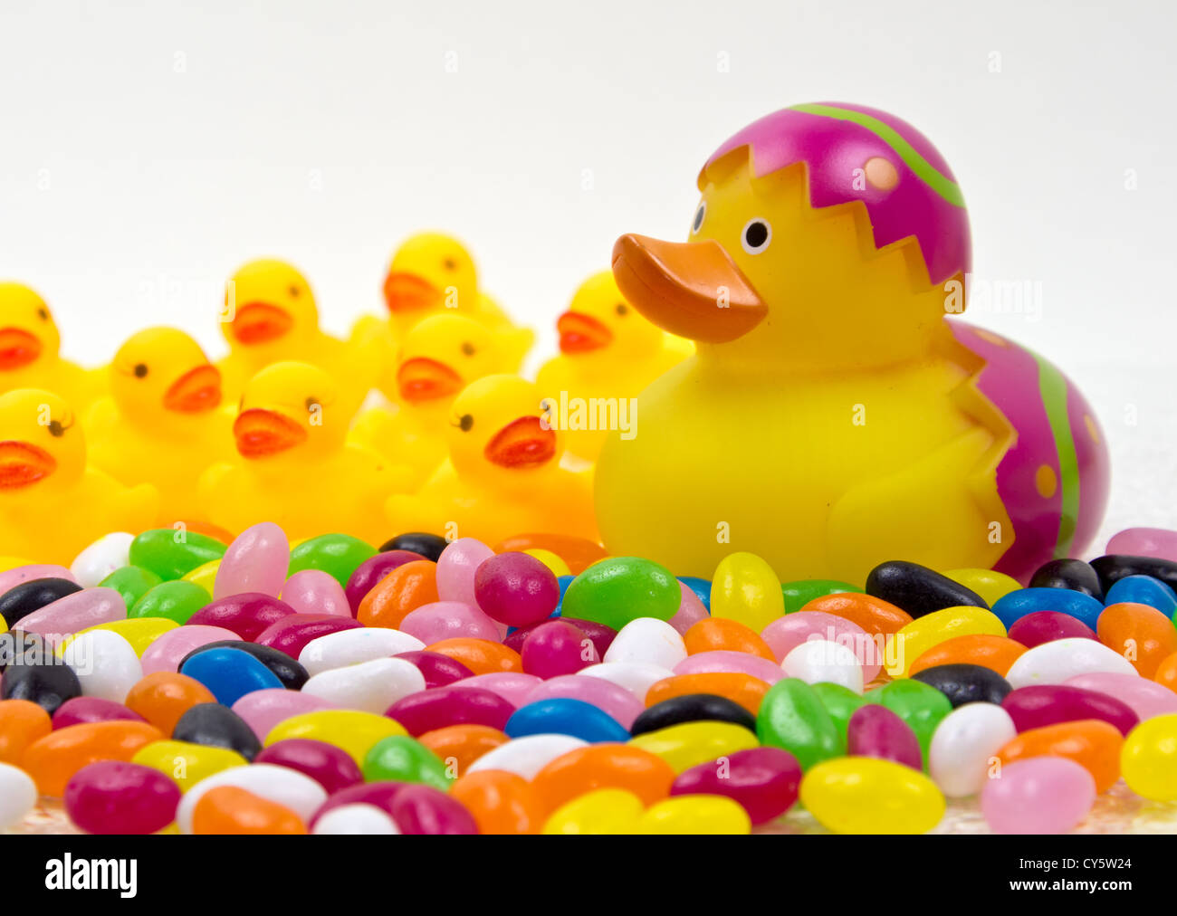 Yellow rubber duck in easter egg with colorful jelly beans Stock Photo