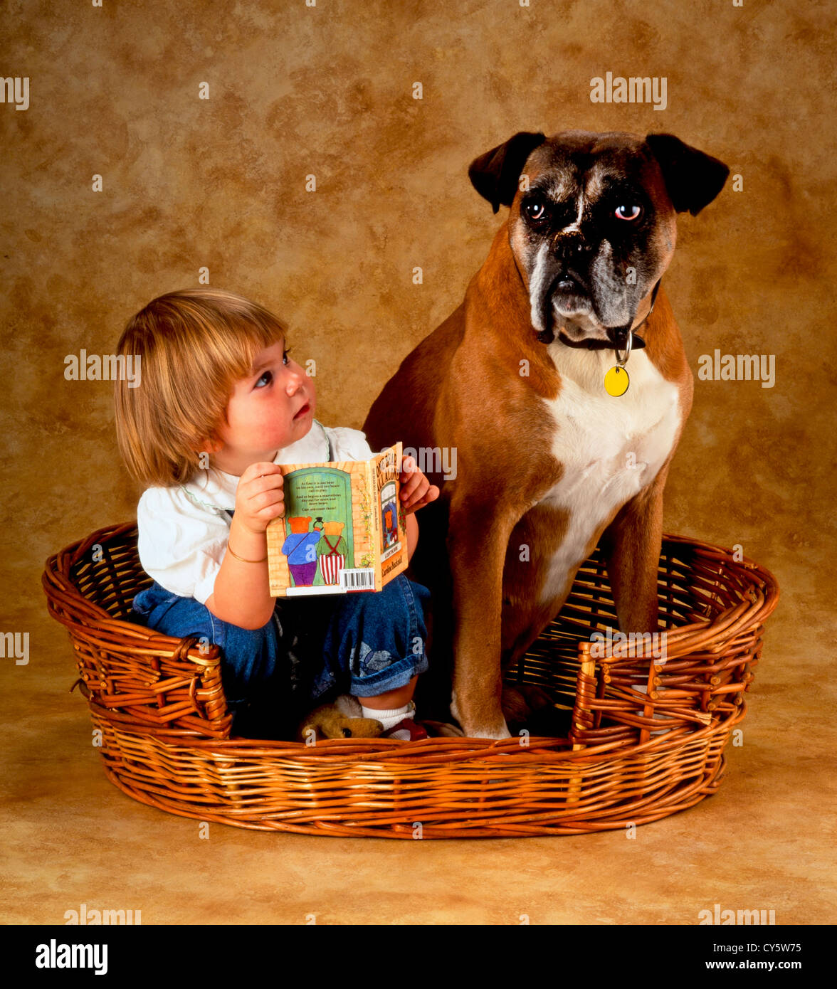 CHILD WITH BOXER DOG Stock Photo