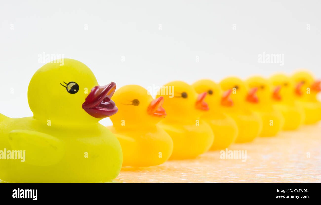 Yellow rubber ducks lined up in a row Stock Photo