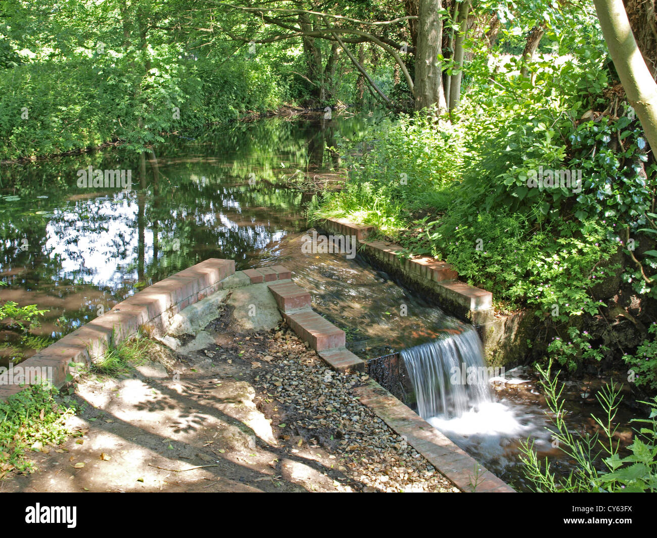 managed woodland to encourage wildlife to thrive Stock Photo