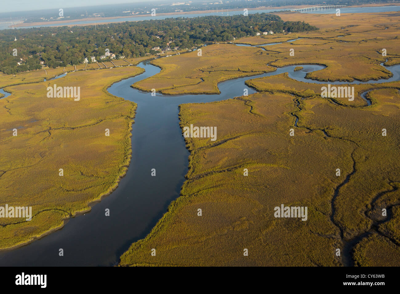 Aerial view of marsh along the Ashley River Charleston, South Carolina
