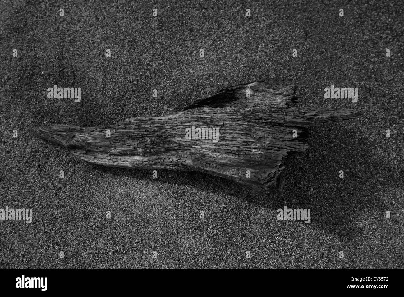 Driftwood Black and White Stock Photos & Images - Alamy