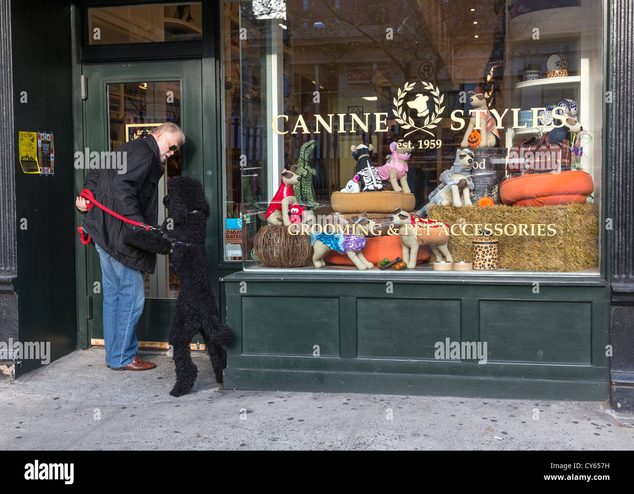 dog owner with excited poodle entering Canine Styles dog store