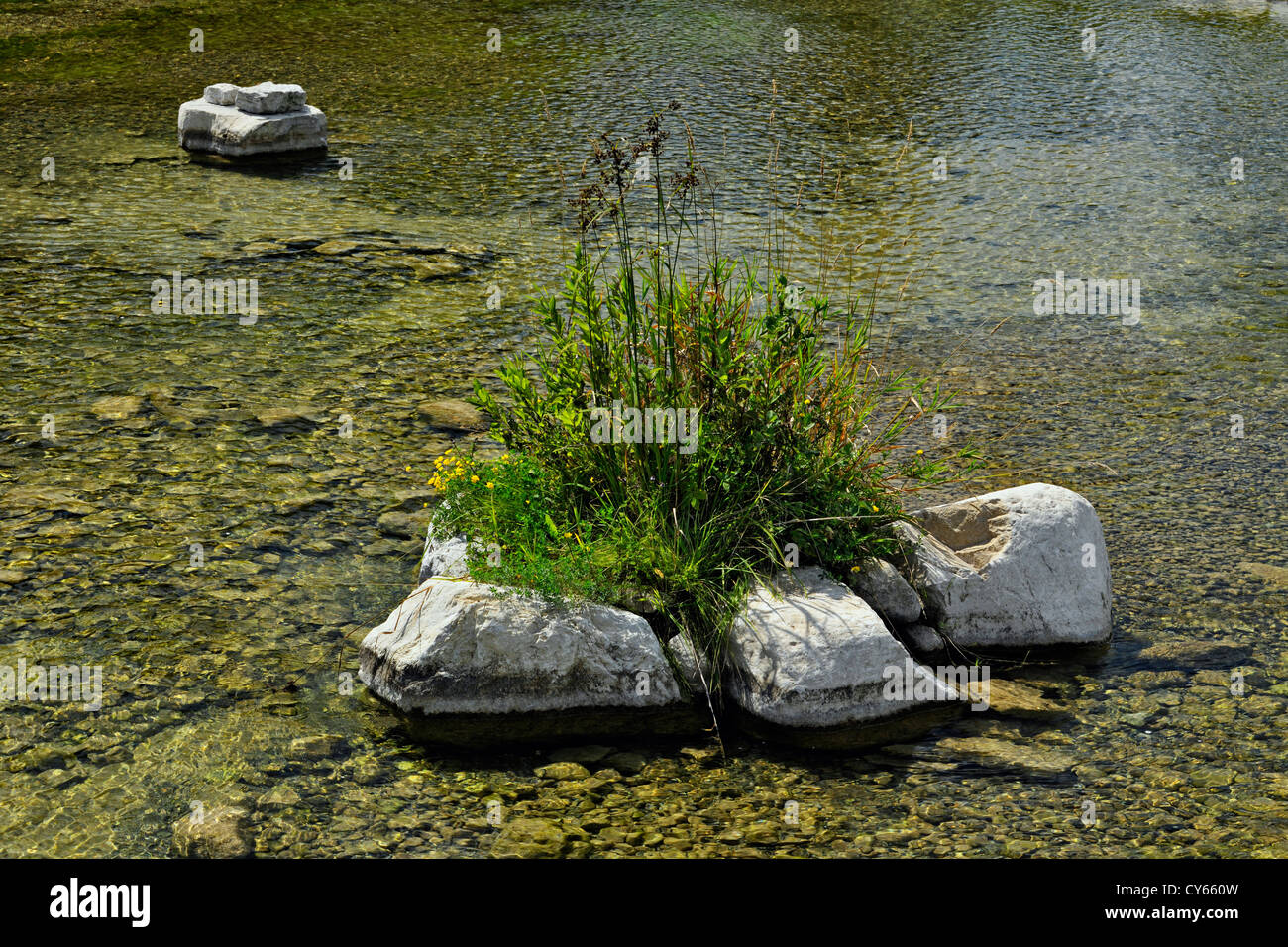 Trout habitat hires stock photography and images Alamy