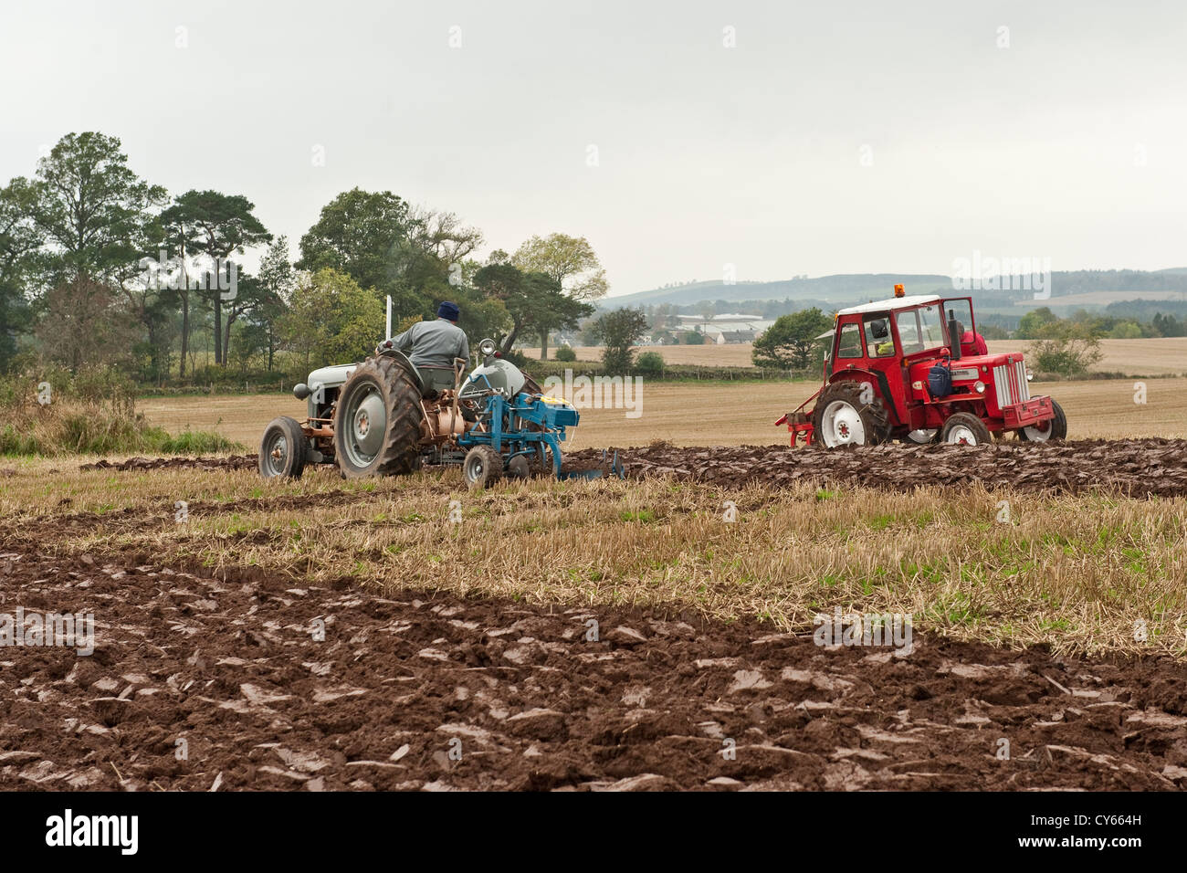 Vintage tractors - grey Fergusson and red International Stock Photo