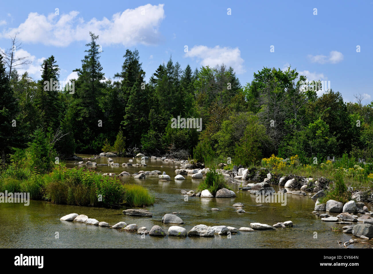 Trout habitat hires stock photography and images Alamy