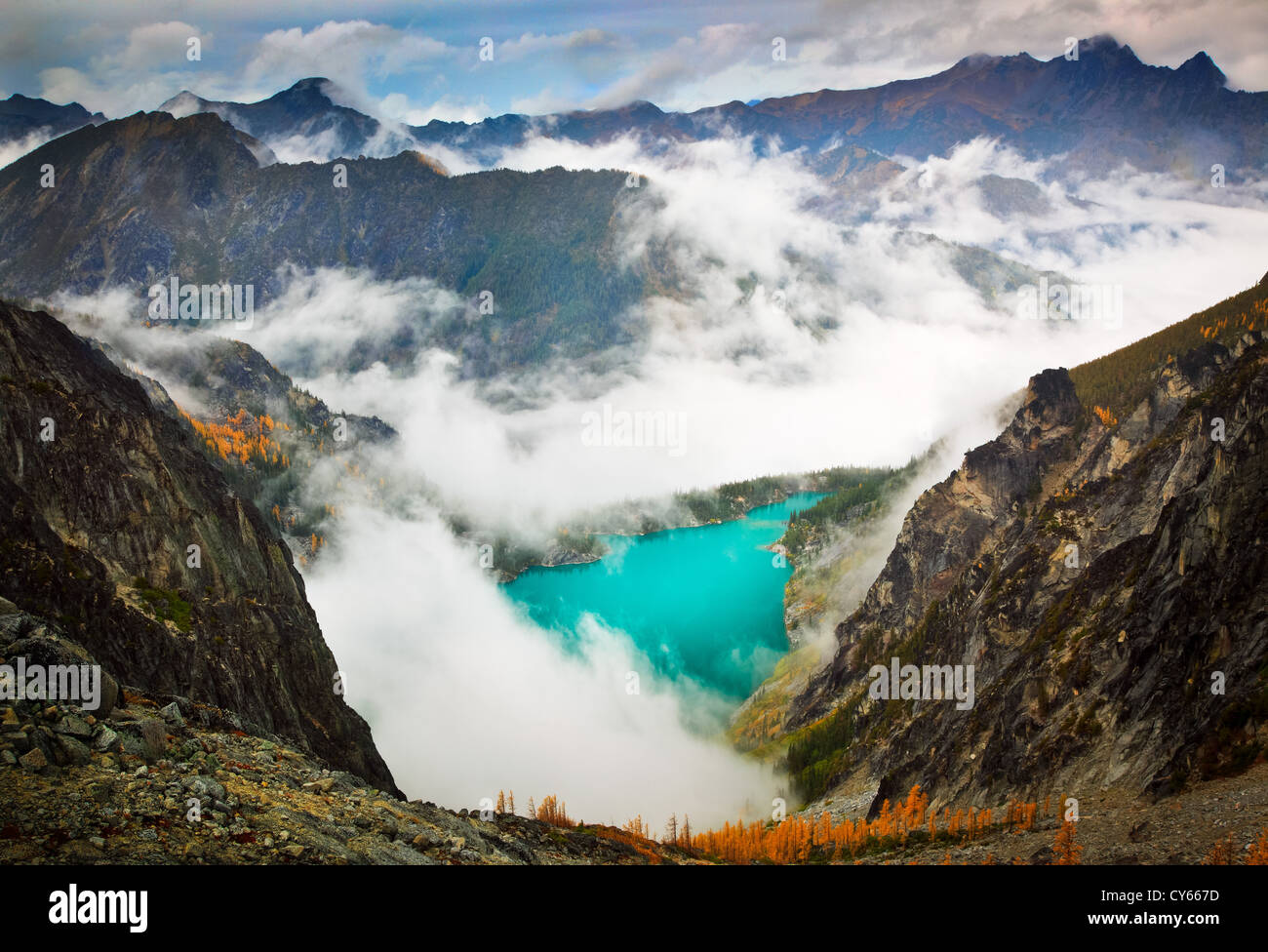 Larch trees at Colchuck Lake in the Enchantment Lakes wilderness Stock ...