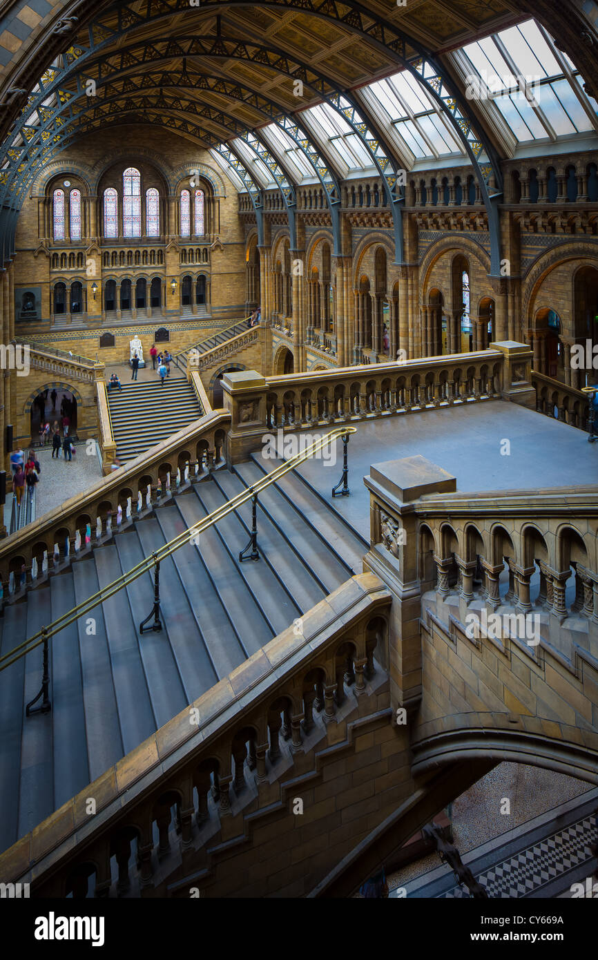 The Natural History Museum is on Exhibition Road, South Kensington, London, England Stock Photo