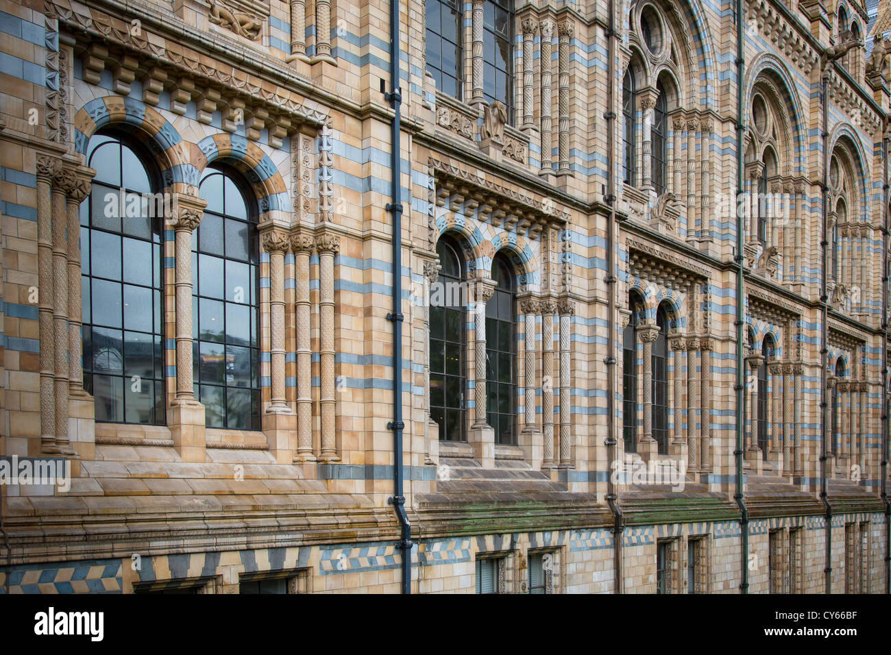 The Natural History Museum is on Exhibition Road, South Kensington, London, England Stock Photo