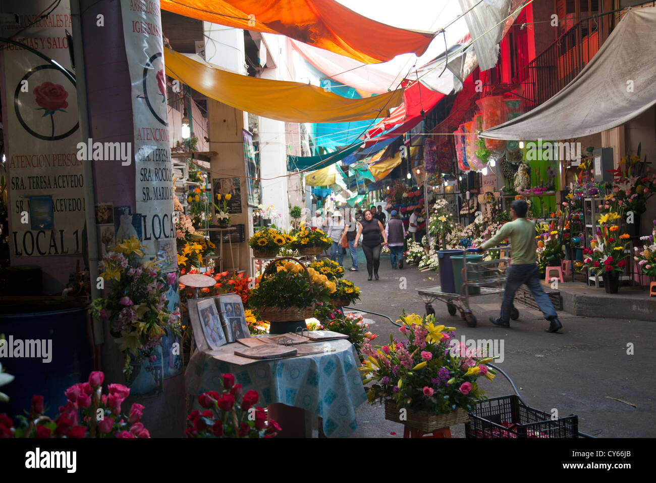 Flower Aisle at Jamaica Market in Colonia Jamaica in Venustiano