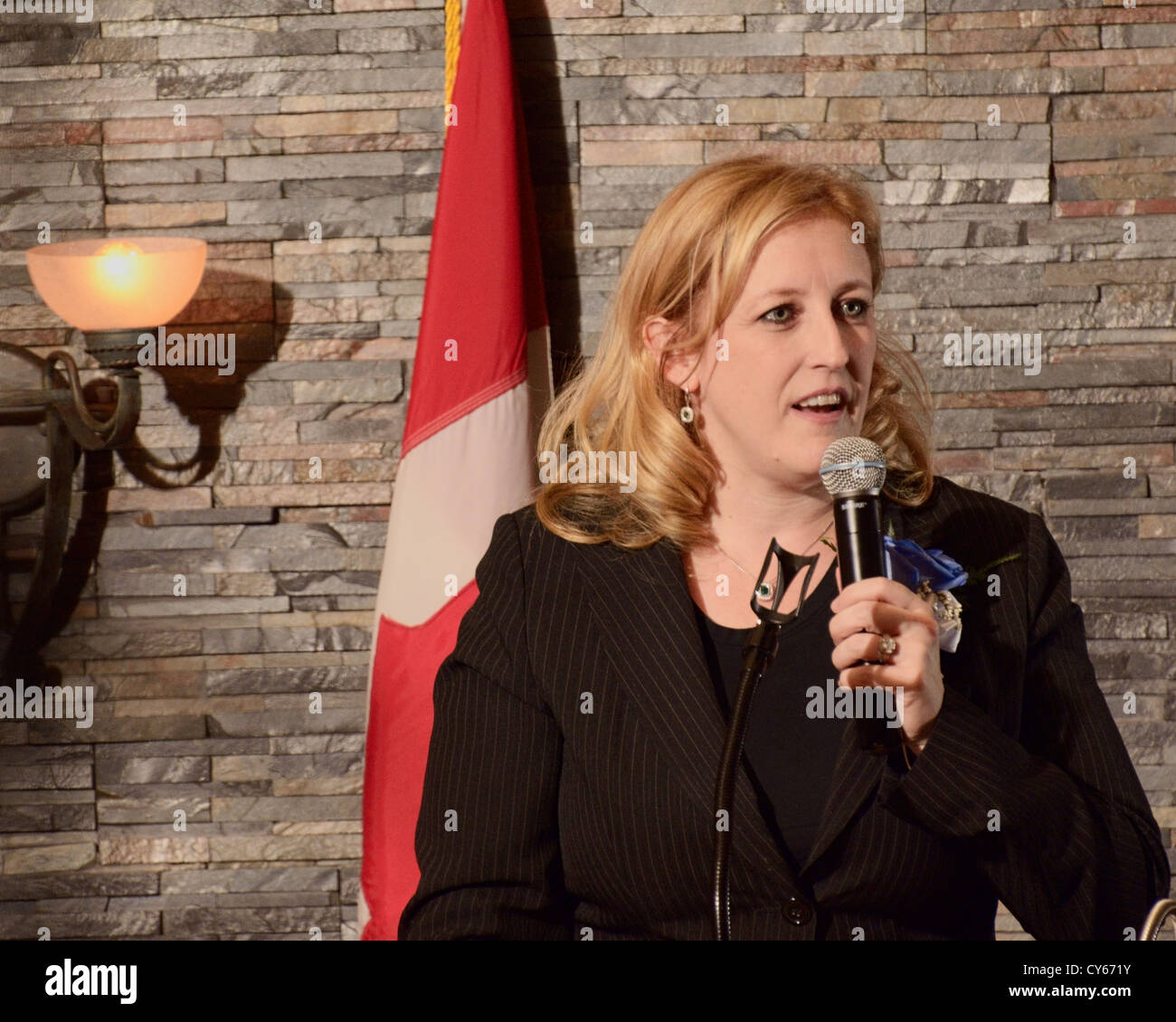 Canada's Minister of Labour Lisa Raitt addresses a fundraiser in October 2012. Stock Photo