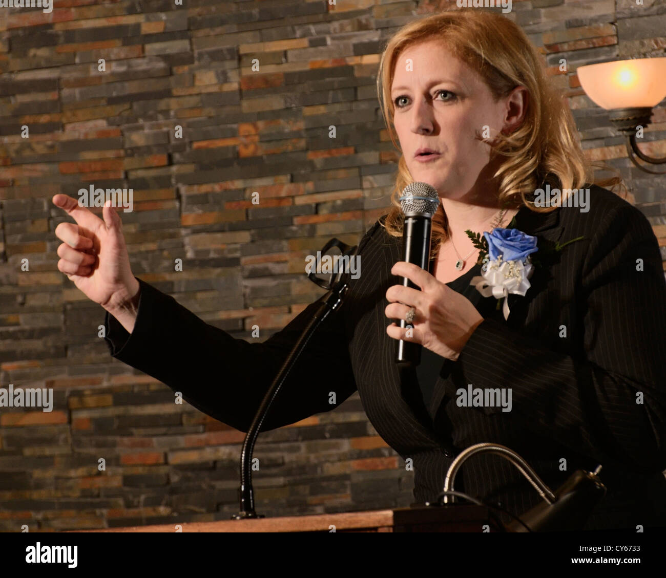 Canada's Minister of Labour Lisa Raitt addresses a fundraiser in October 2012. Stock Photo