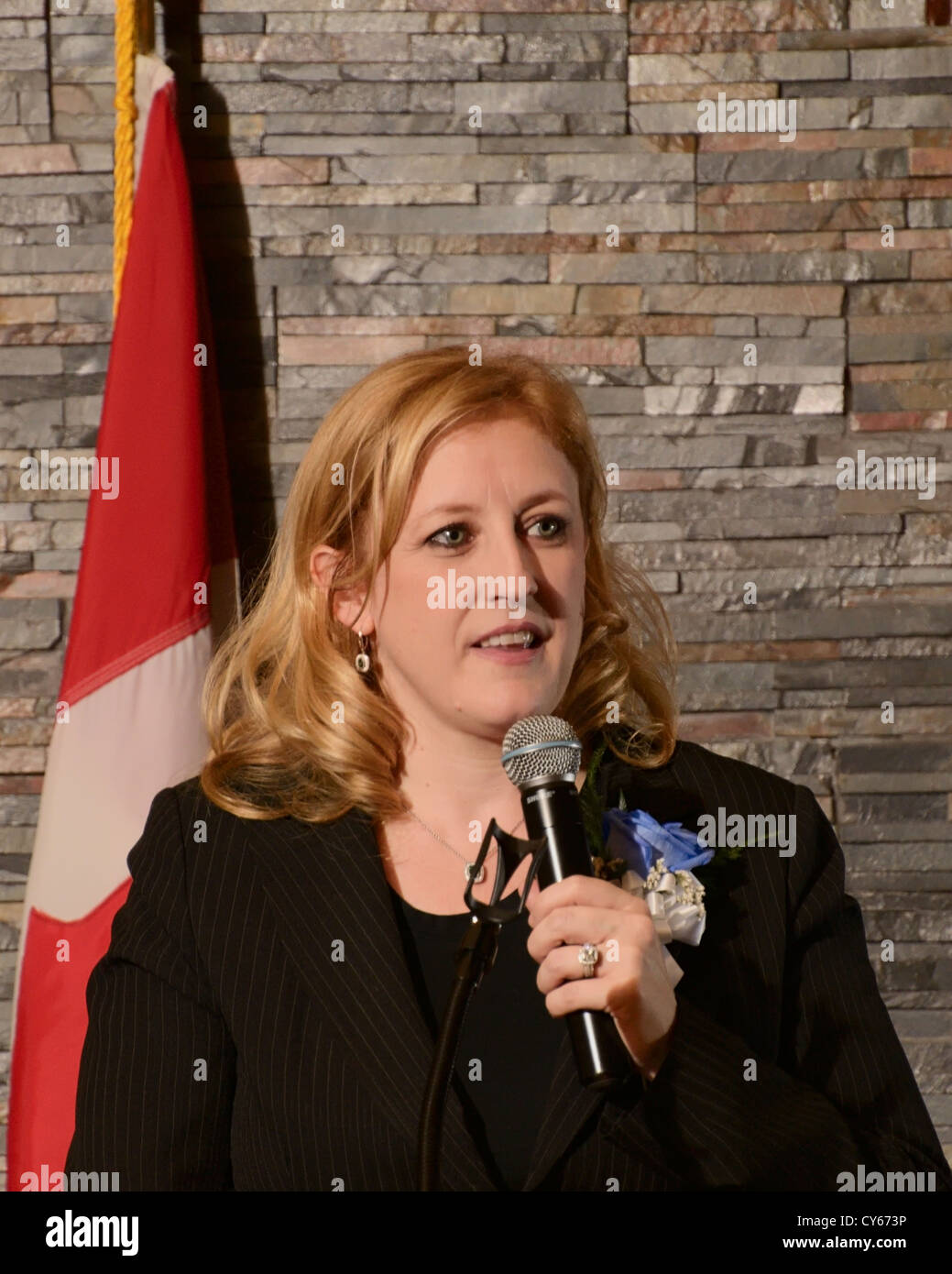Canada's Minister of Labour Lisa Raitt addresses a fundraiser in October 2012. Stock Photo