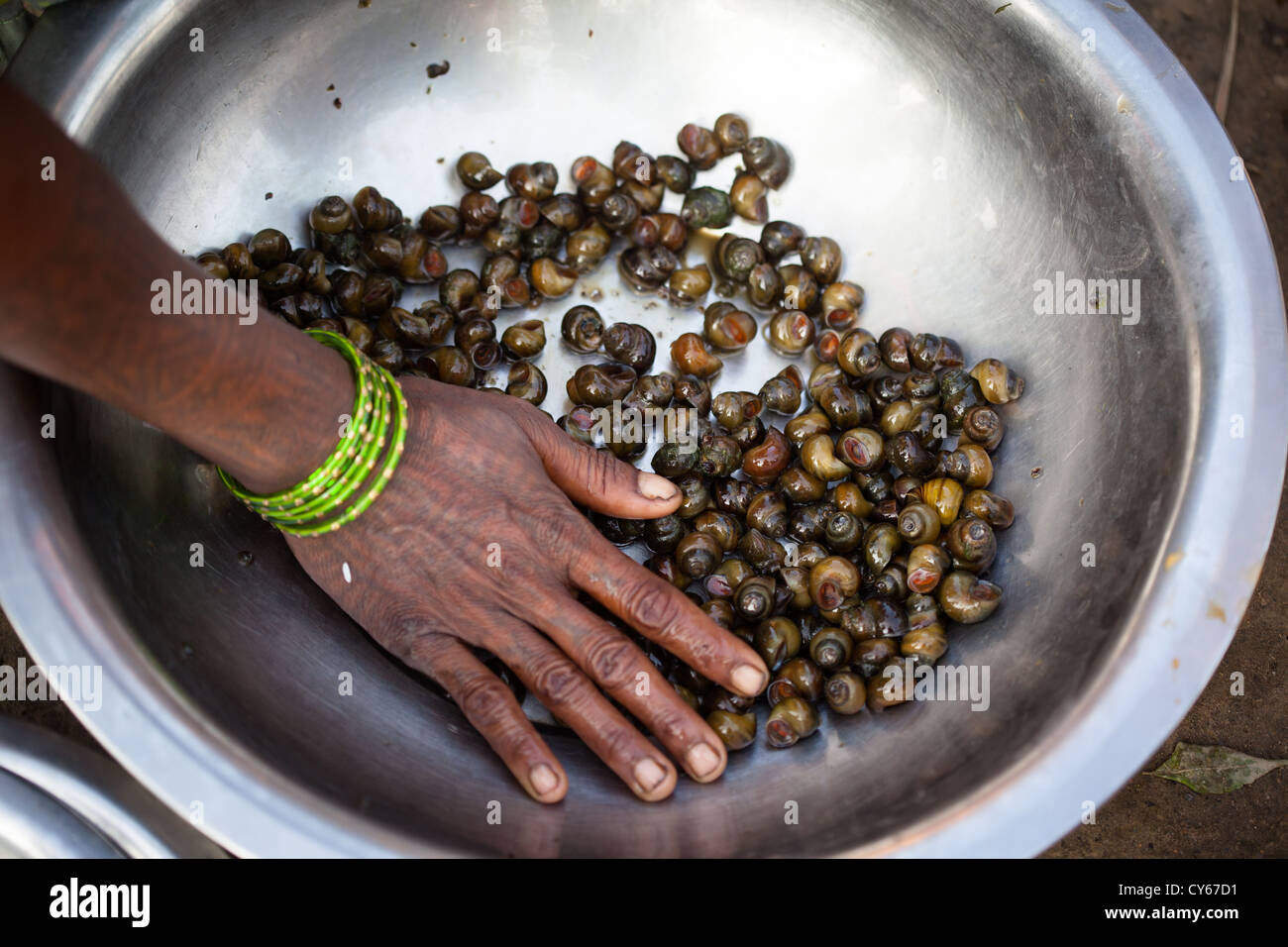 View of Water snails nepal hi-res stock photography and images - Alamy