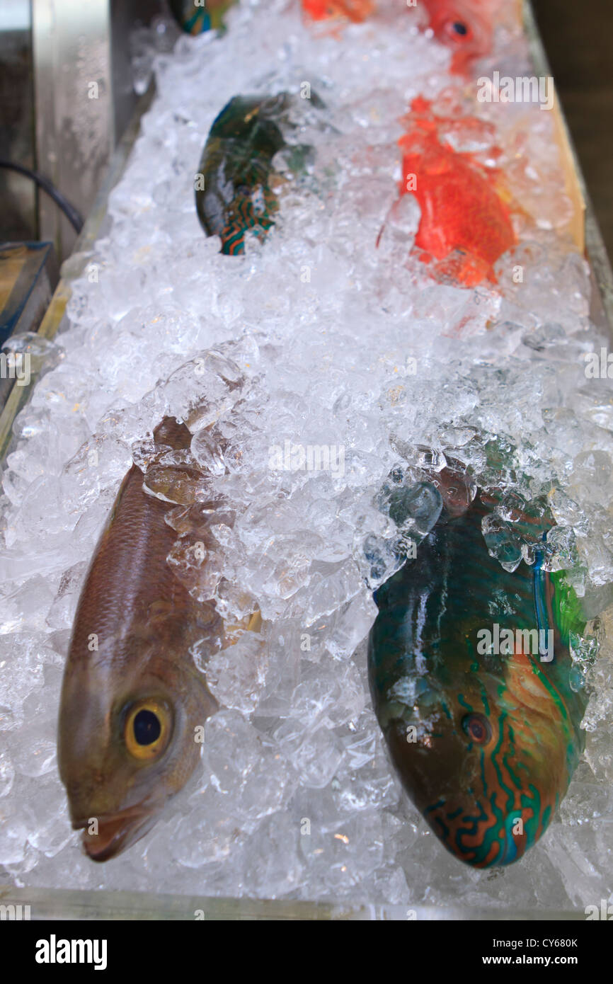 Naha Fish Market Stock Photos & Naha Fish Market Stock Images - Alamy