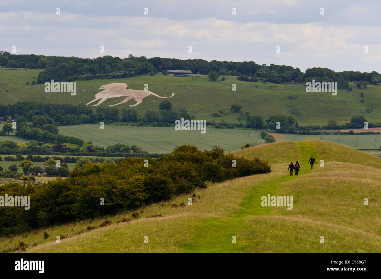 The Whipsnade Lion seen from Ivinghoe Beacon, Buckinghamshire, with the start of the Ridgeway long-distance footpath in the fore Stock Photo