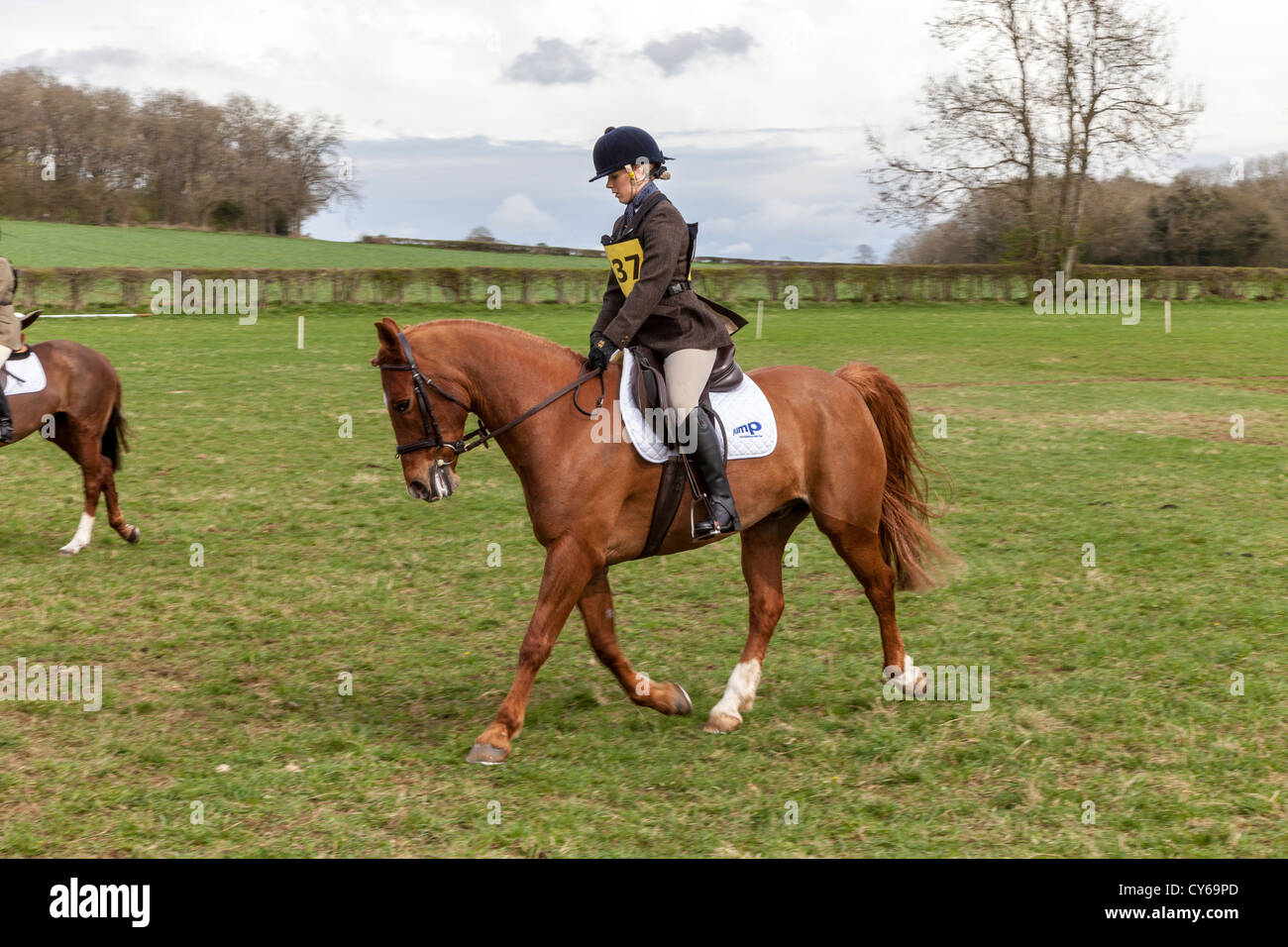 Girl rider at show jumping event in Chepstow Wales UK Stock Photo - Alamy