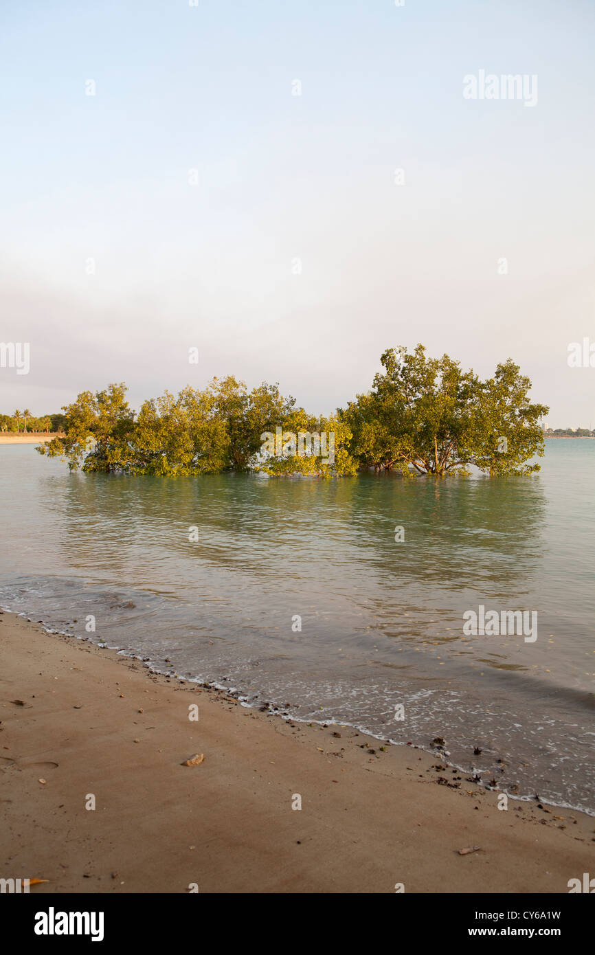 Scenery around Lee point, Darwin, Northern Territory, Australia Stock