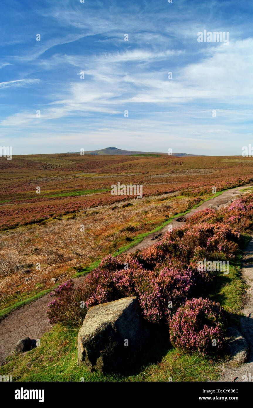 UK,Derbyshire,Peak District,Footpath & Heather Across Derwent Moor With Win Hill In Distance Stock Photo