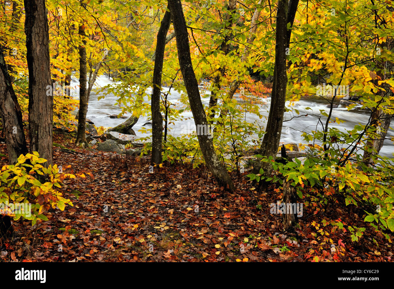 Oxtongue river hi-res stock photography and images - Alamy