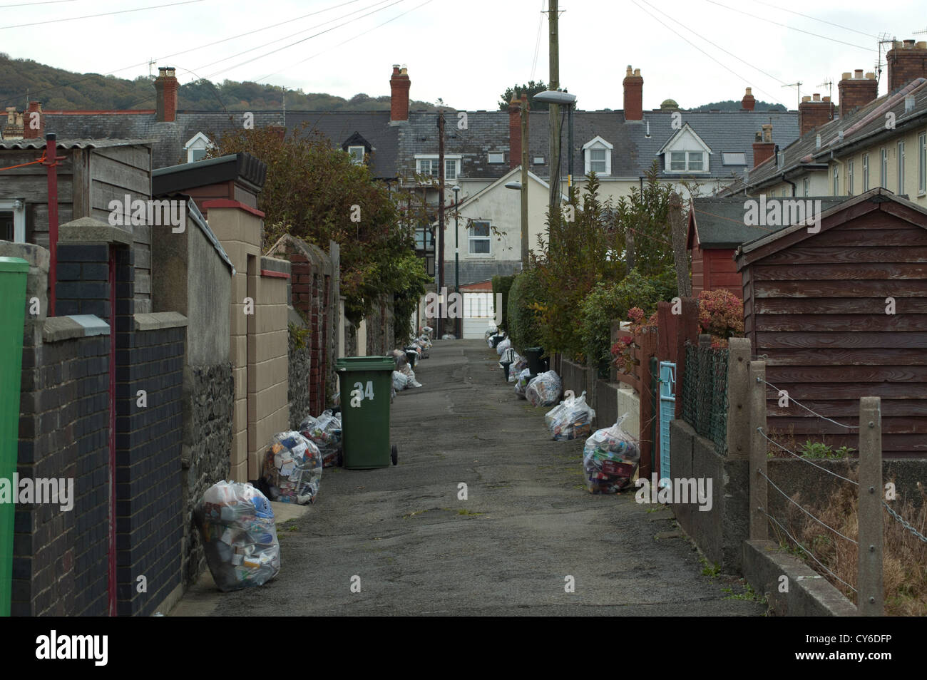 Aberystwyth street on rubbish collection day Stock Photo Alamy