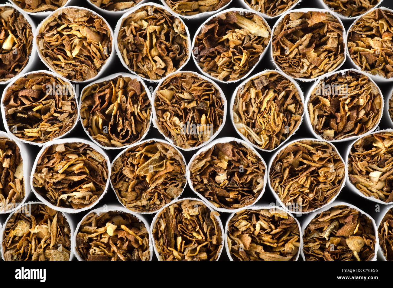 Close-up of cigarettes. Background of cigarettes. Stock Photo