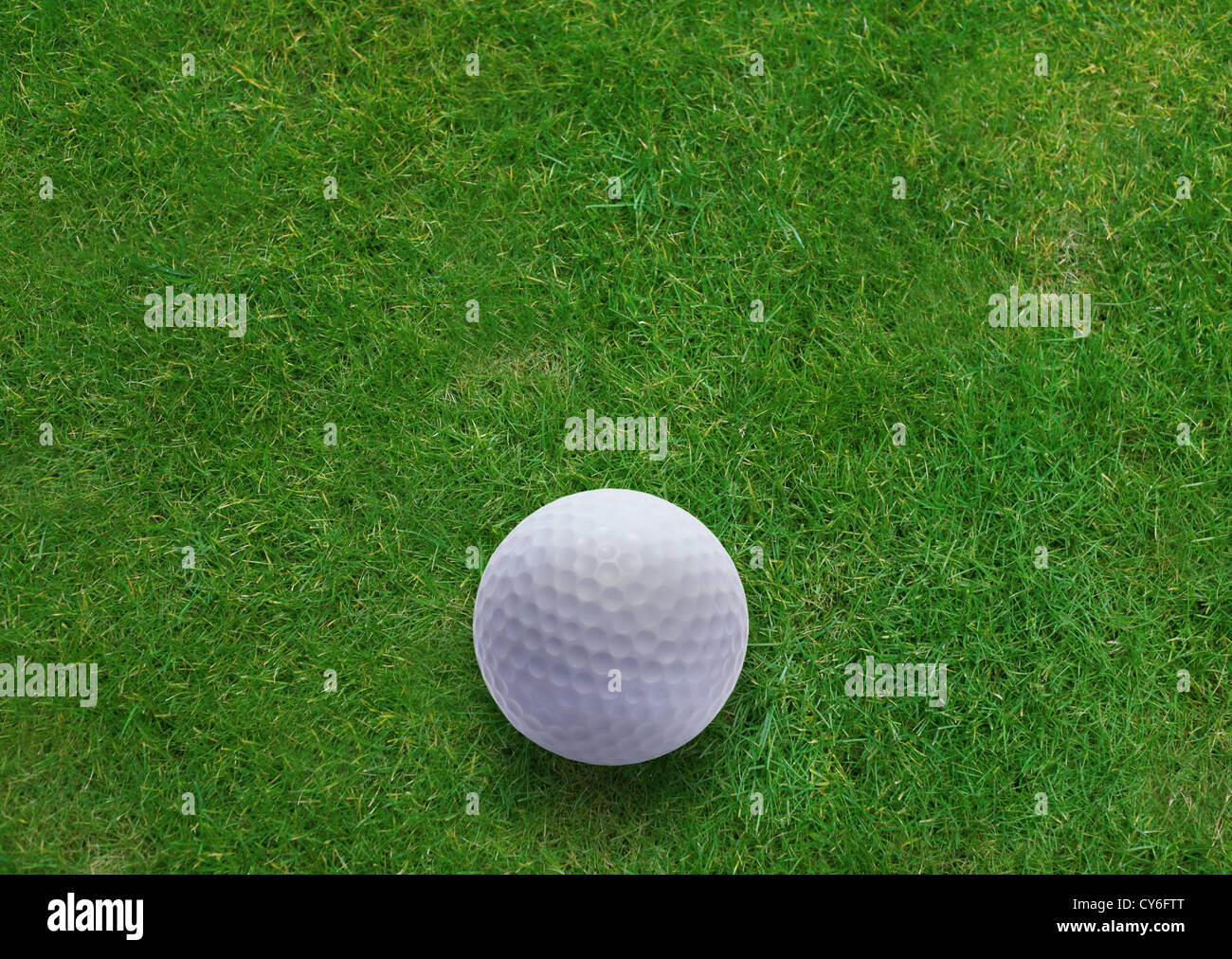 Golf ball on green grass land Stock Photo Alamy