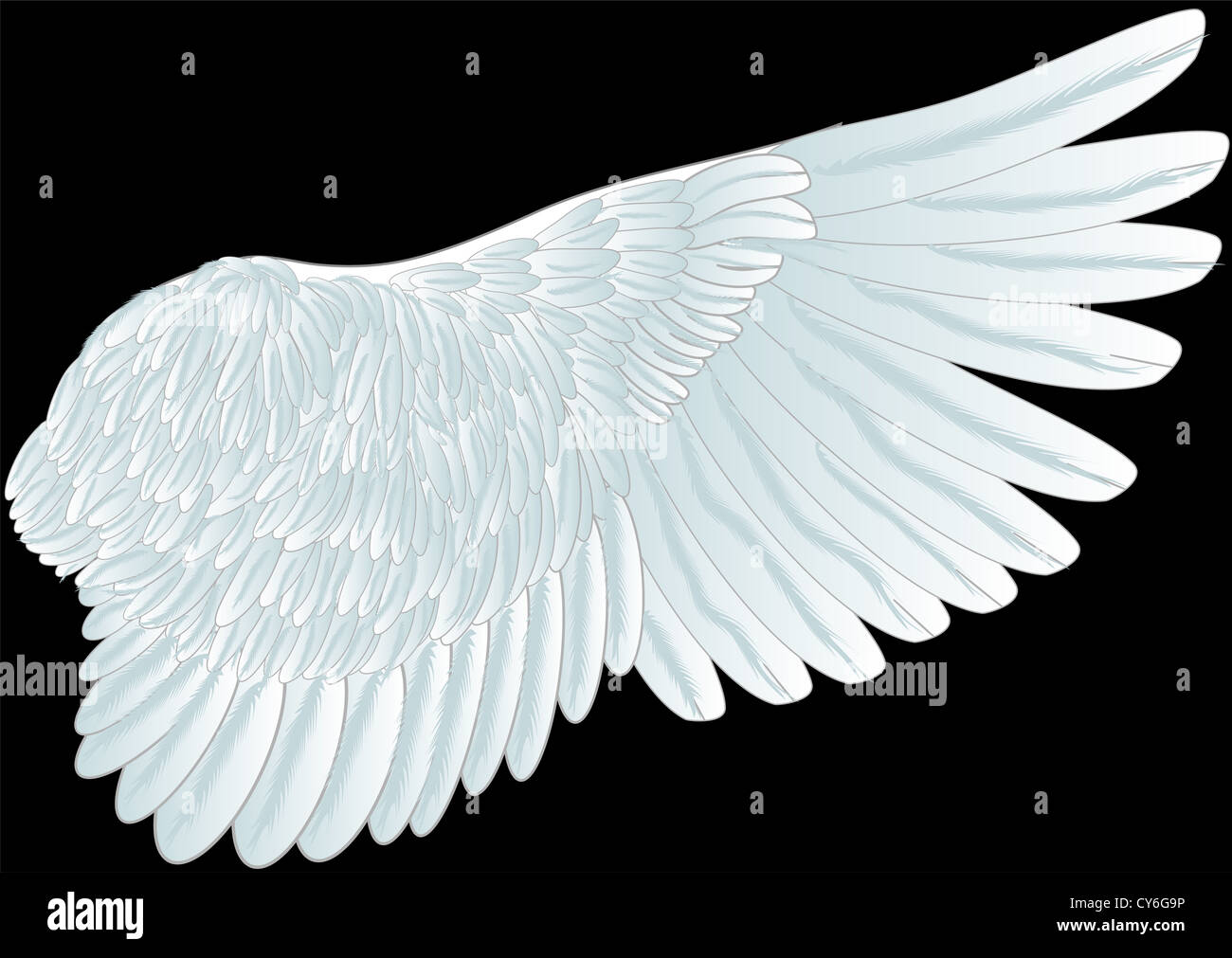white wing isolated on th black background Stock Photo Alamy