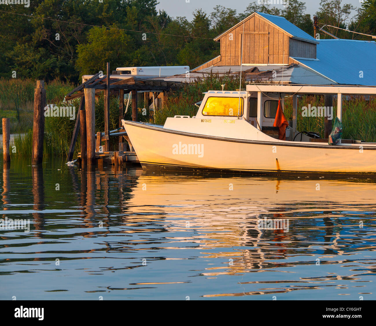 Tilghman Island, Maryland Morning sun on fishing boats docked along
