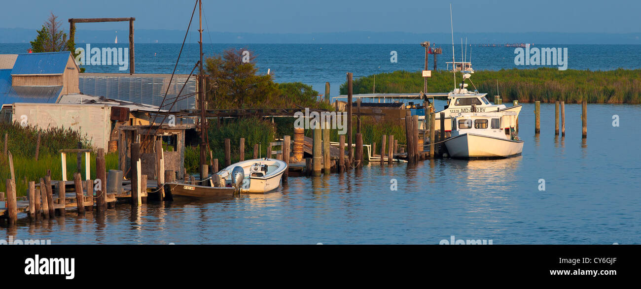 Tilghman Island, Maryland: Morning sun on fishing boats docked along Knapp's Narrows, Chesapeake Bay in the background Stock Photo