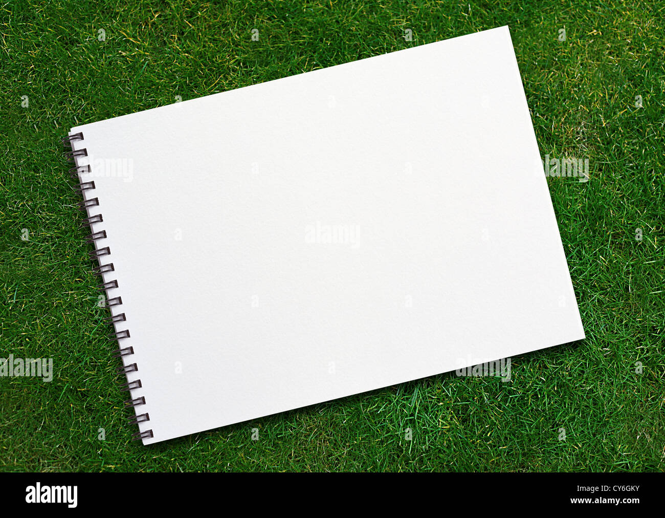 open binder notebook on grassland with empty page. Stock Photo