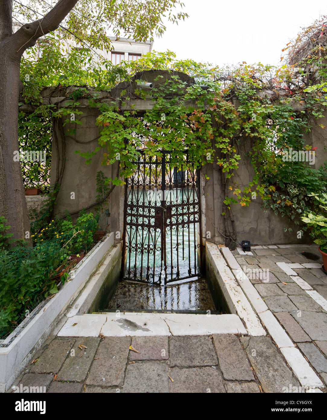 Wrought-iron gate overgrown with climbing plants, onto the adjacent canal at San Giorgio dei Greci, Venice Stock Photo