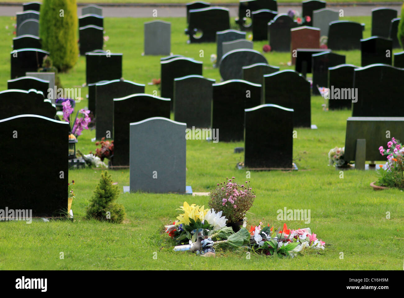 Flowers on new grave in cemetery with headstones in background. Focus on foreground. Stock Photo