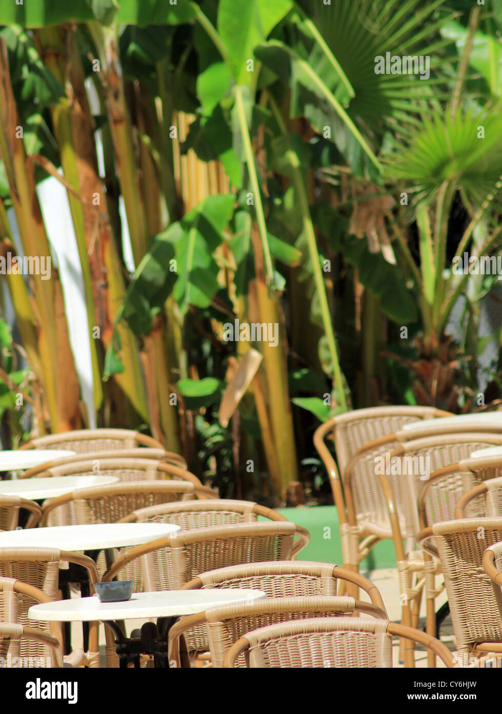 Outdoor restaurant tables with leafy green palms in background. Stock Photo