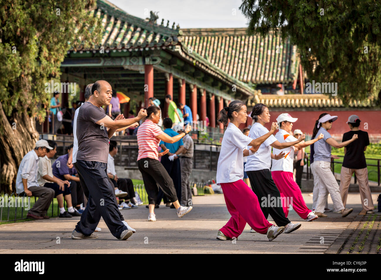 Chinese people practice tai chi martial arts exercise early morning at the  Temple of Heaven Park during summer in Beijing Stock Photo - Alamy