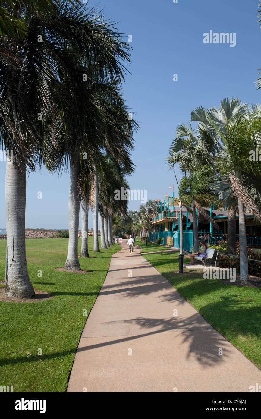 Walkway with Palm trees in Darwin, Northern Territory, Australia Stock Photo