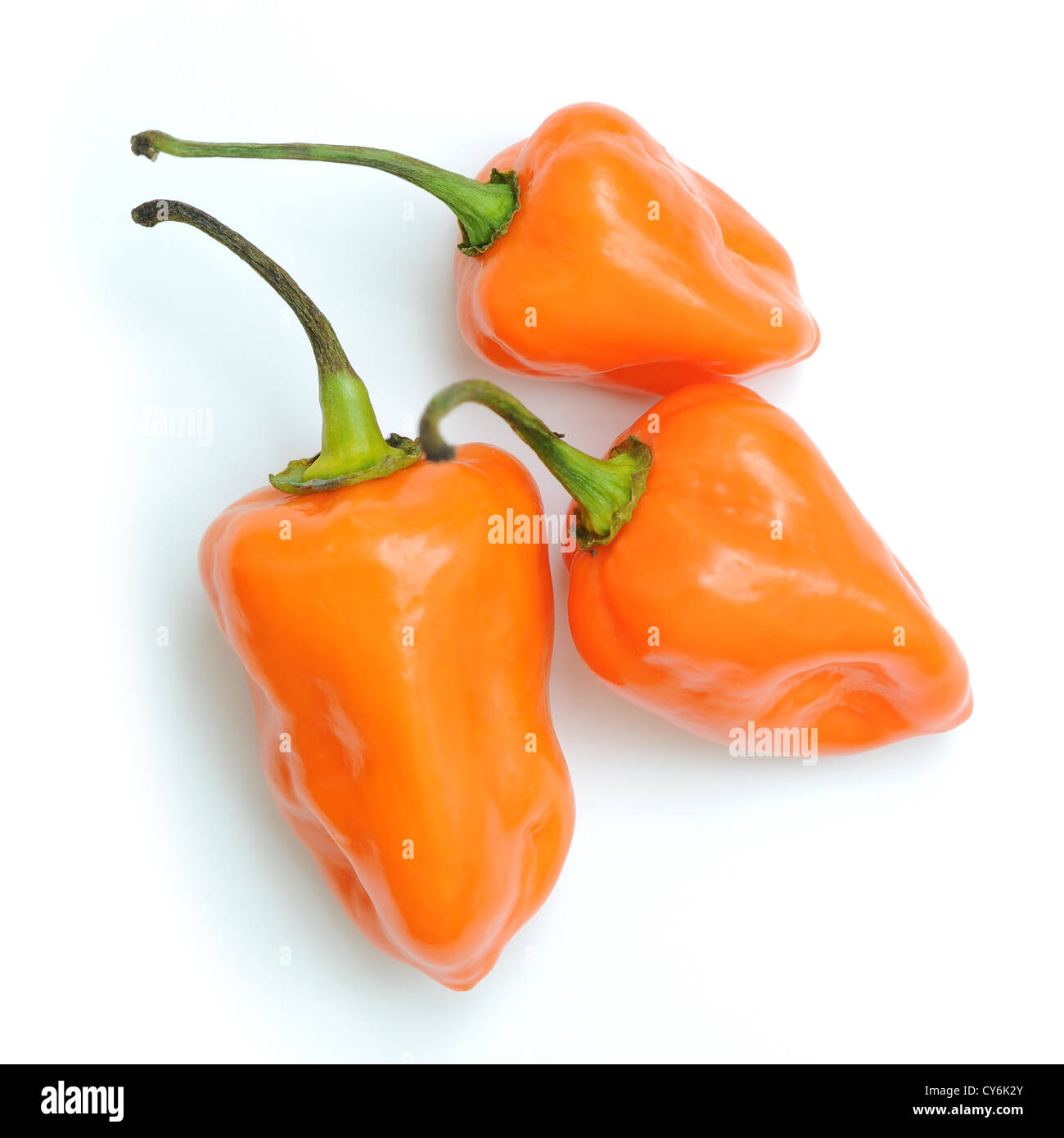 Orange hot chili pepper Stock Photo Alamy