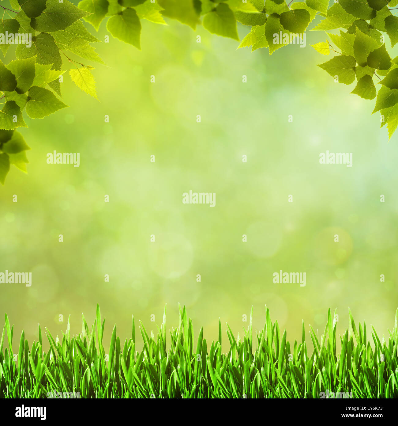 Order Natural Background Beauty natural backgrounds for your design Stock Photo - Alamy