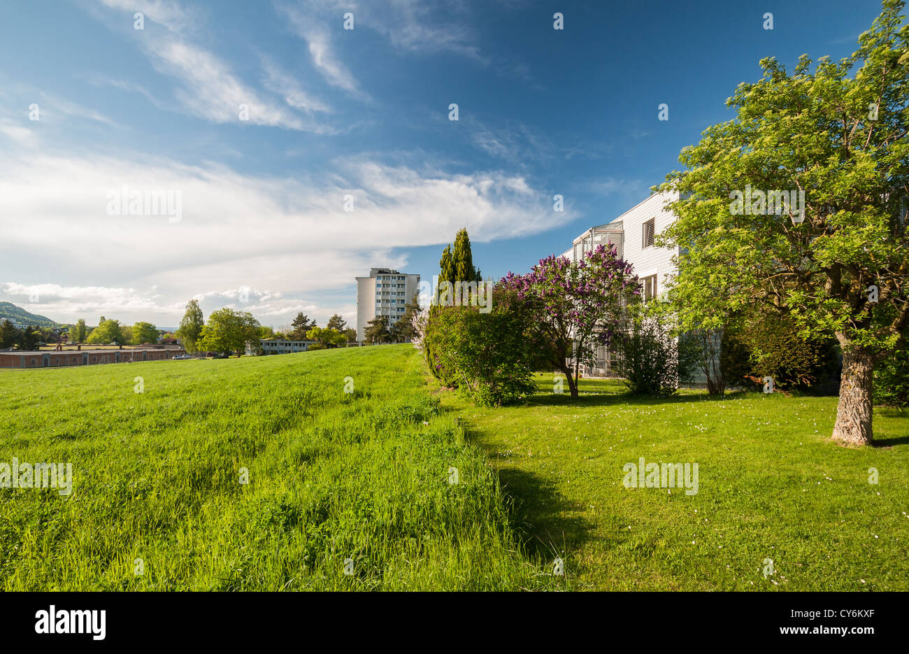 Green sorrounding hi-res stock photography and images - Alamy