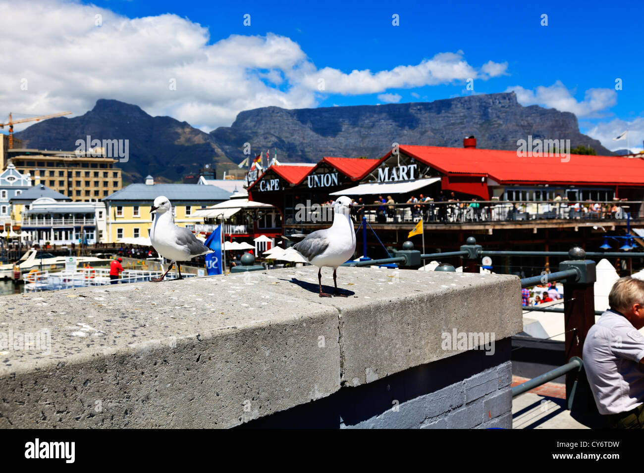 Outdoor dining restaurants at the Victoria and Albert waterfront in Cape Town South Africa Stock